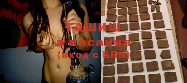 сатива Корсаков
