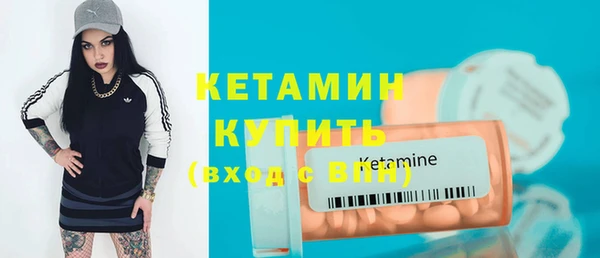 сатива Корсаков