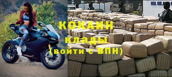 сатива Корсаков