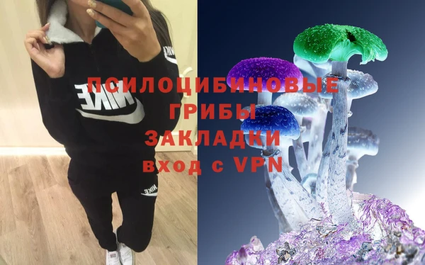 каннабис Коряжма