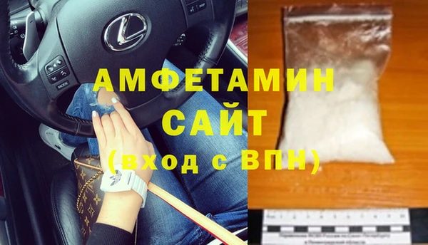 сатива Корсаков