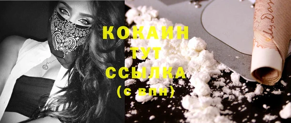 сатива Корсаков