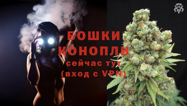 каннабис Коряжма