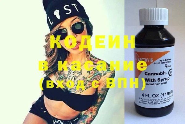 сатива Корсаков