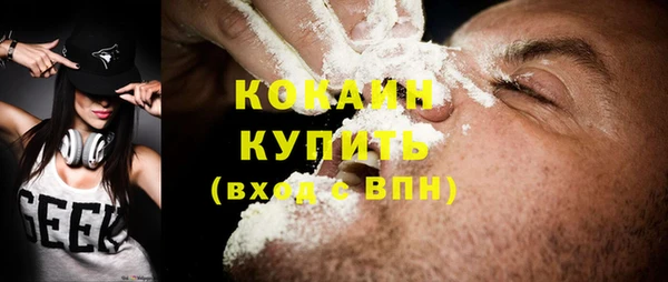 индика Приозерск