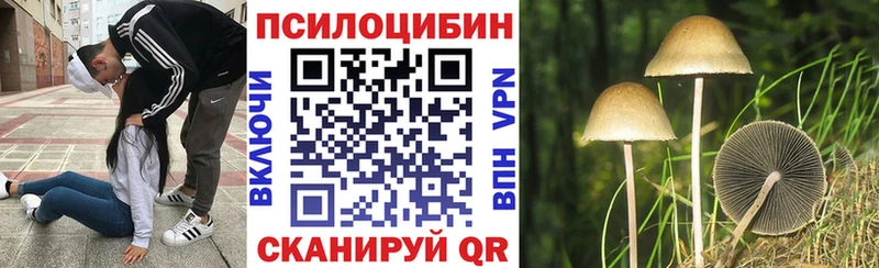 Купить закладки  Артёмовский  Псилоцибиновые грибы мицелий 